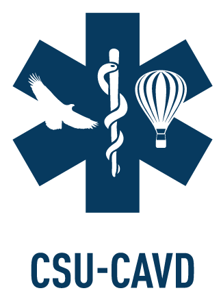 News Swissrescue